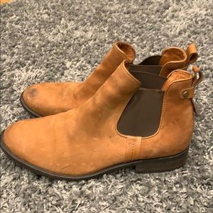 Steve Madden Chelsea Boots/Booties